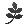  <B><FONT COLOR="Green">Ecology Section</b></FONT>