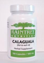 Calaguala is traditionally used in South America for Psorasis and other skin conditions, alzheimers disease, dementia and memory problems, . Also for coughs, bronchitis, chest colds and upper respiratory problems
